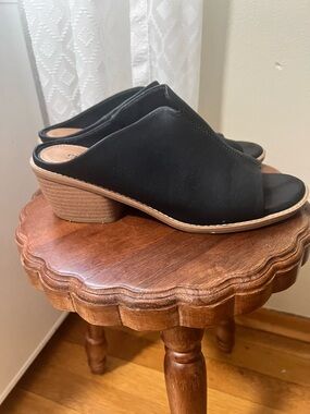 Black Open-Toe Mule Sandals with Low Block Heel